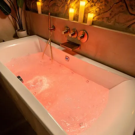 Cenote - Experience Sensorielle