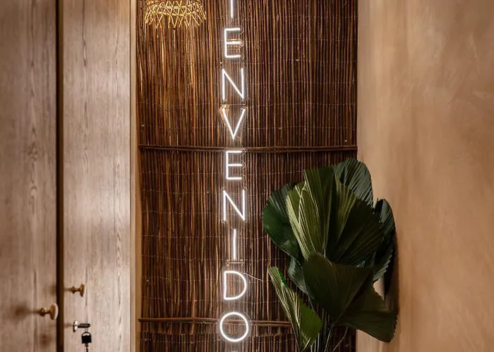 Cenote - Experience Sensorielle *